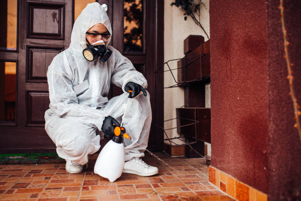 Reliable Cockroach Control contractor in Fort Davis, TX by Nex Pest Control